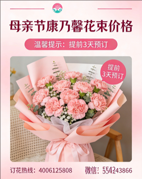 孝感安陆市花店母亲节康乃馨花束