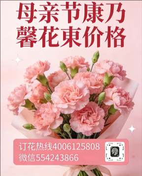孝感安陆市花店母亲节康乃馨花束